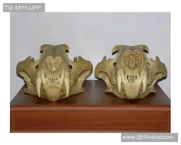 足球明星与老虎纹身的完美结合展现力量与激情的艺术之美