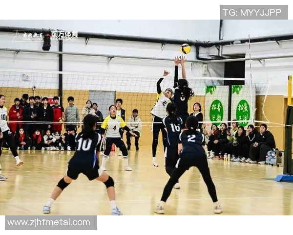 排球盛宴：深入南京排球队的力量与荣耀之旅