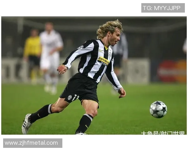 樊新建足球的崛起与发展探讨如何推动中国足球的未来进程